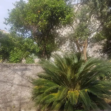 Saul - One Bedroom With Terrace And Sea View *