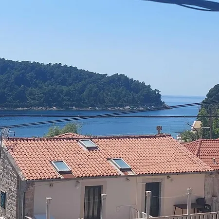 Saul - One Bedroom With Terrace And Sea View * Cavtat