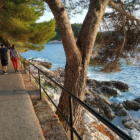 Saul - One Bedroom With Terrace And Sea View Cavtat