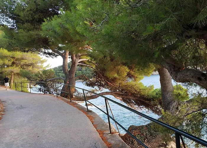 Saul - One Bedroom With Terrace And Sea View * Cavtat