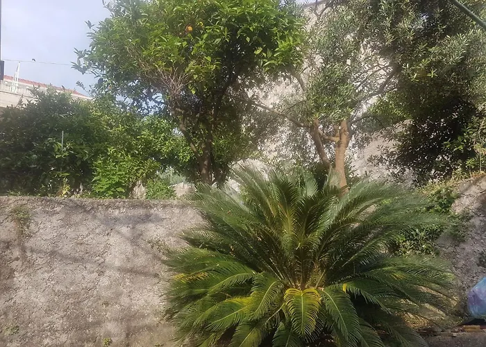 Saul - One Bedroom With Terrace And Sea View *